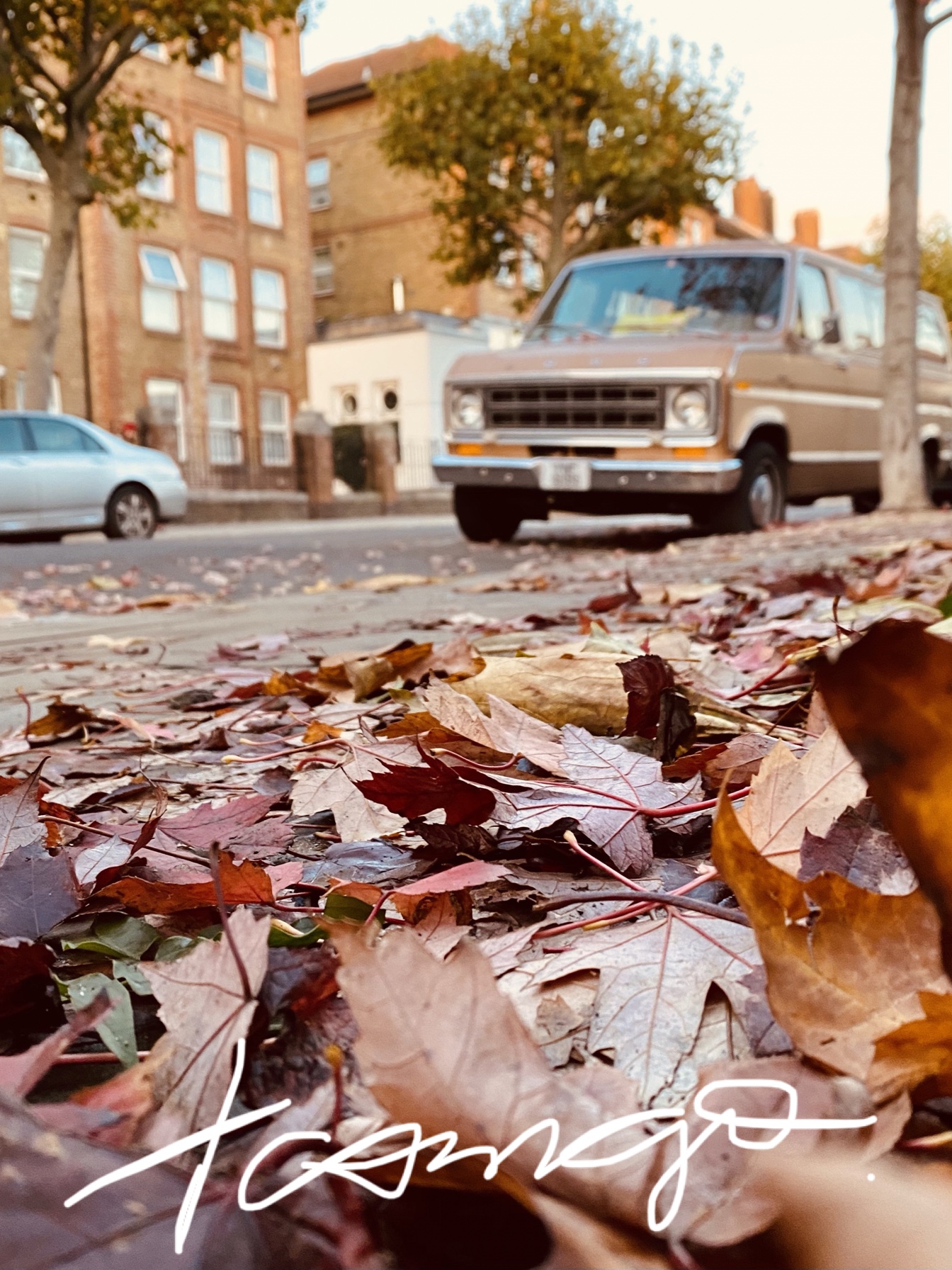 Autumn leaves and an old car in the back 